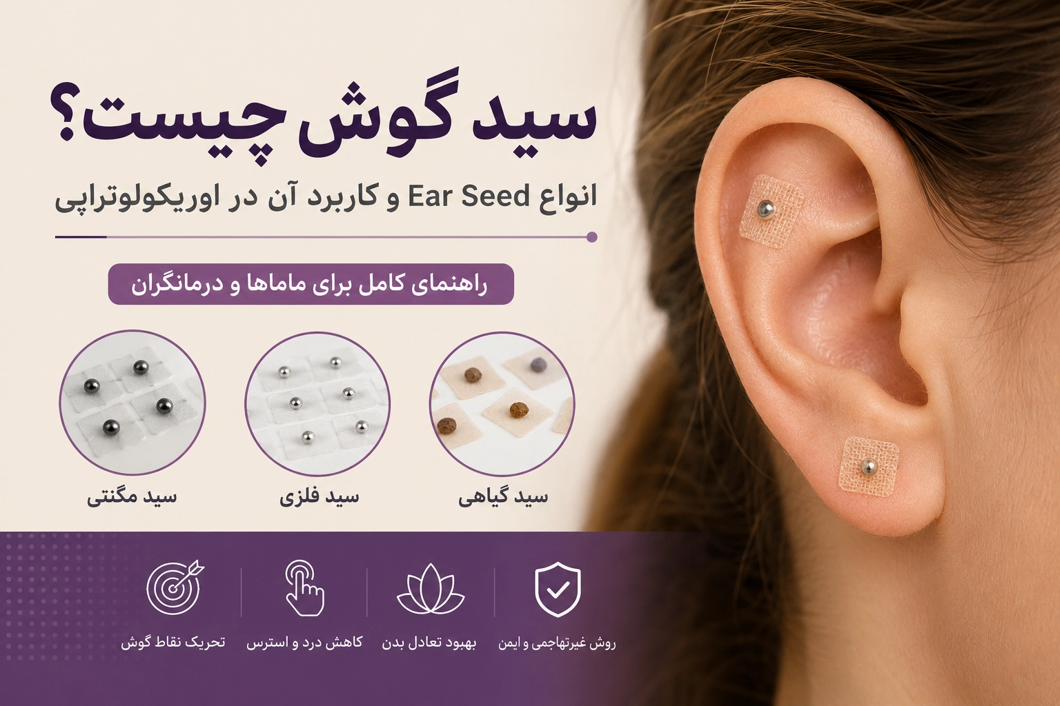 سید گوش چیست؟ انواع Ear Seed، کاربرد و روش استفاده
